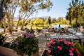 IMG-20250623-WA0002